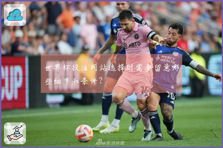世界杯投注网站选择时需要留意哪些细节和条件？