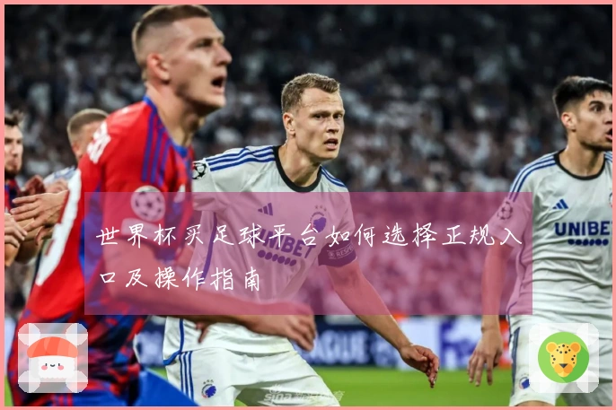 世界杯买足球平台如何选择正规入口及操作指南