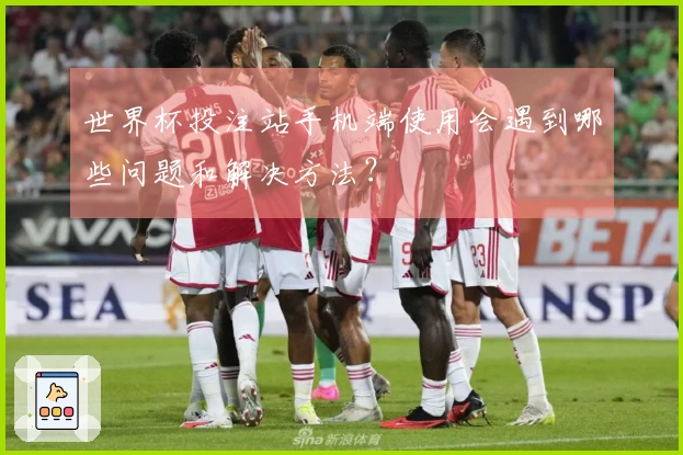 世界杯投注站手机端使用会遇到哪些问题和解决方法？